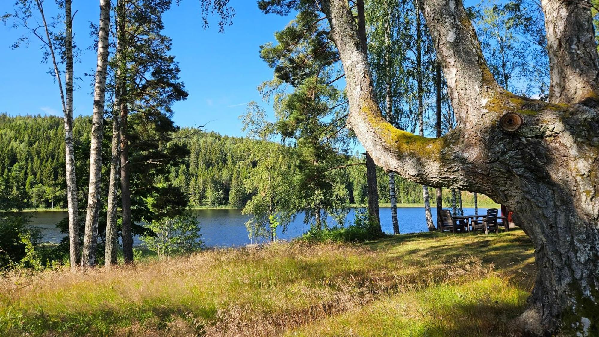 Kilsborgs Gard - Lakehouse Svanskog Buitenkant foto