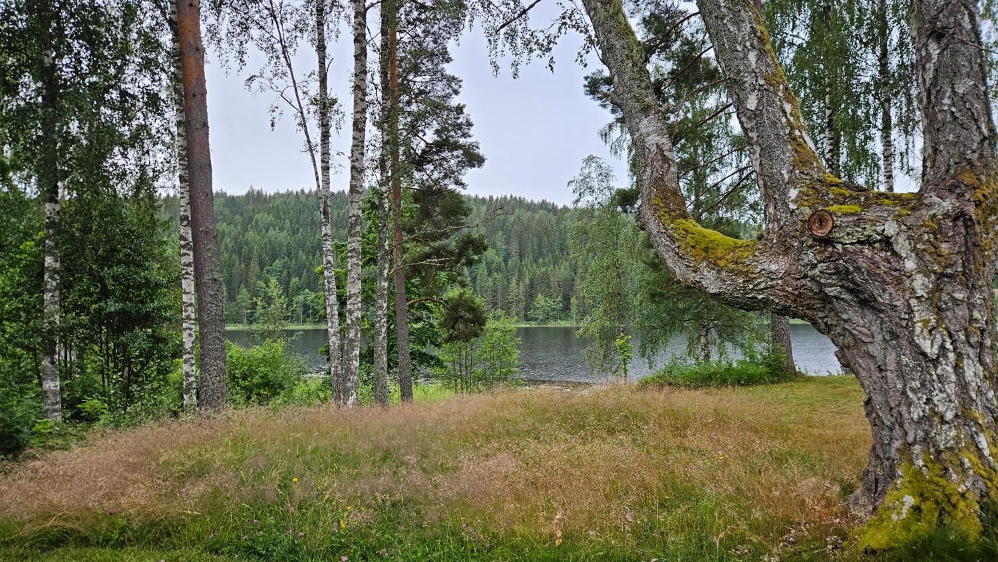 Kilsborgs Gard - Lakehouse Svanskog Buitenkant foto